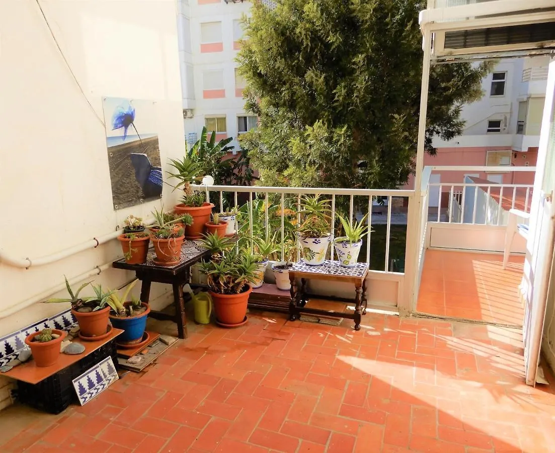 Seafront Apartment Torre Del Mar 0*,  Spanyolország